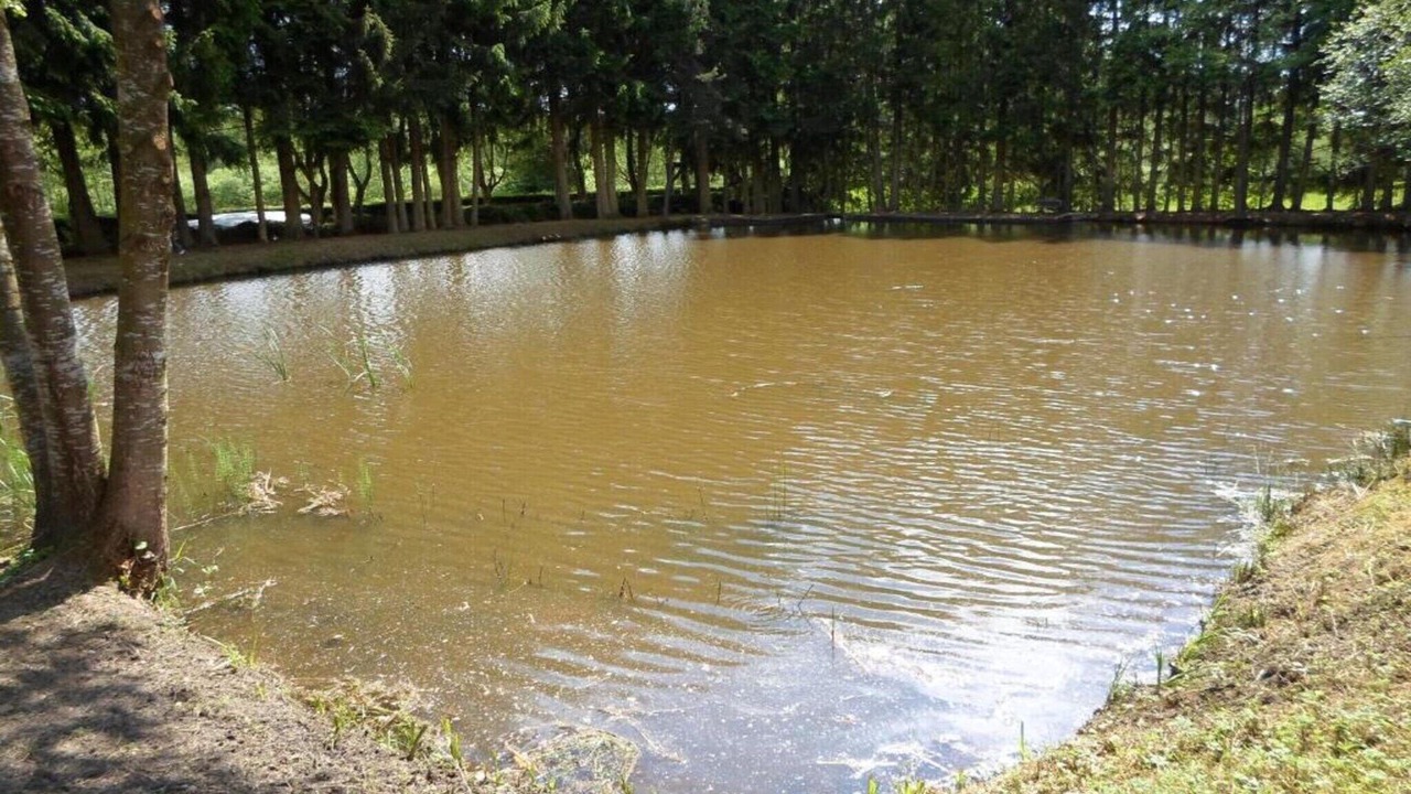 Photo of Others in Herpelmont