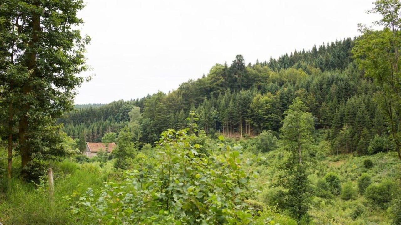 Photo of Others in Herpelmont