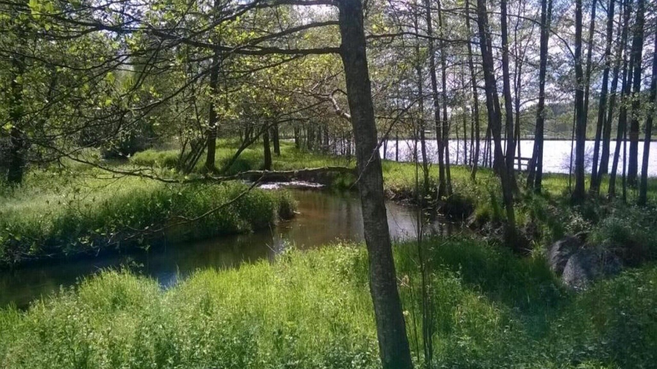 Photo of Others in Herpelmont