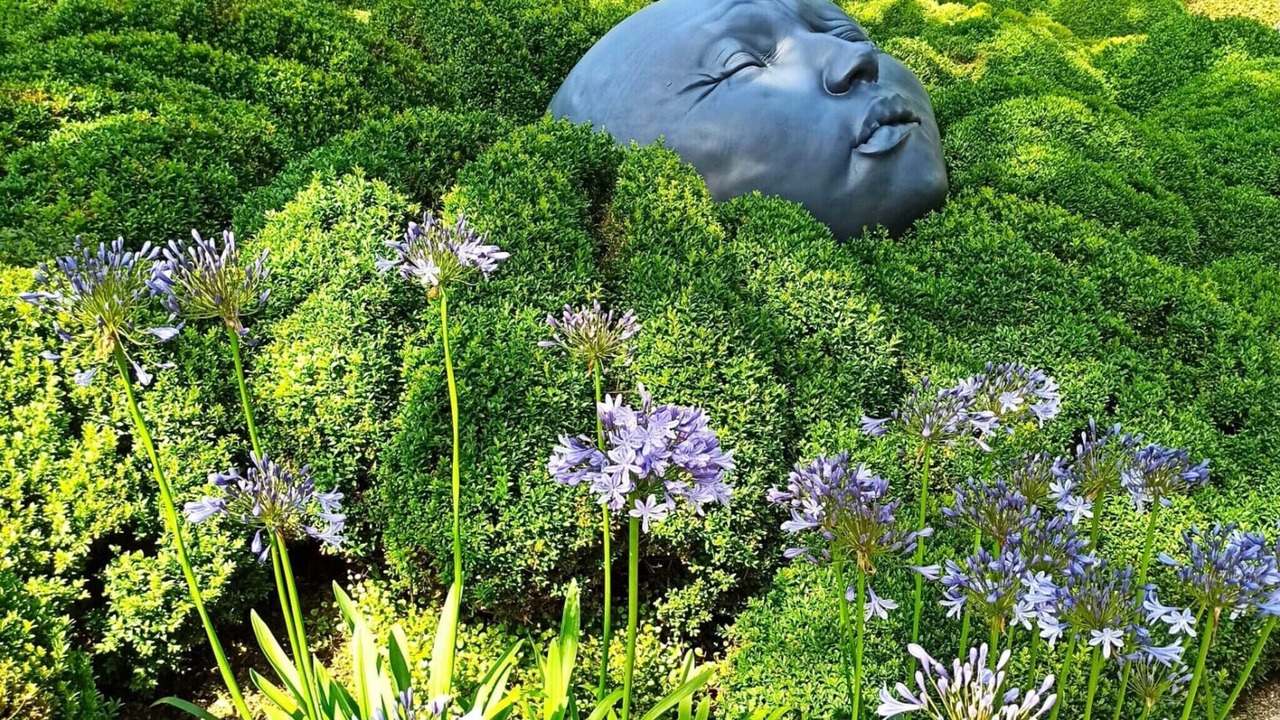 Photo of Others in Bordeaux-Saint-Clair