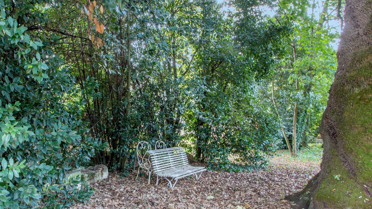 Photo of Outdoor in Fontenay-le-Comte