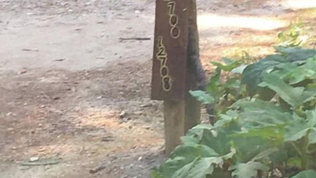 Photo of Outdoor in Summerhaven
