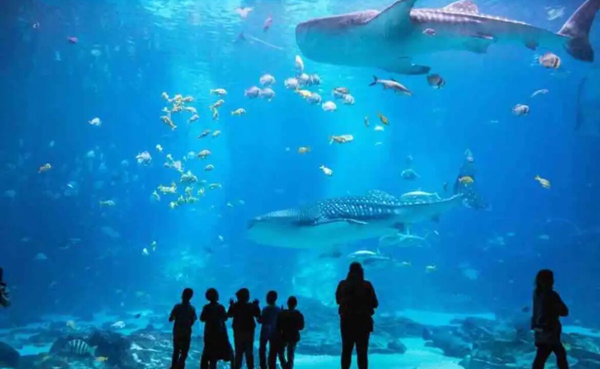 Photo of Others in SoNo