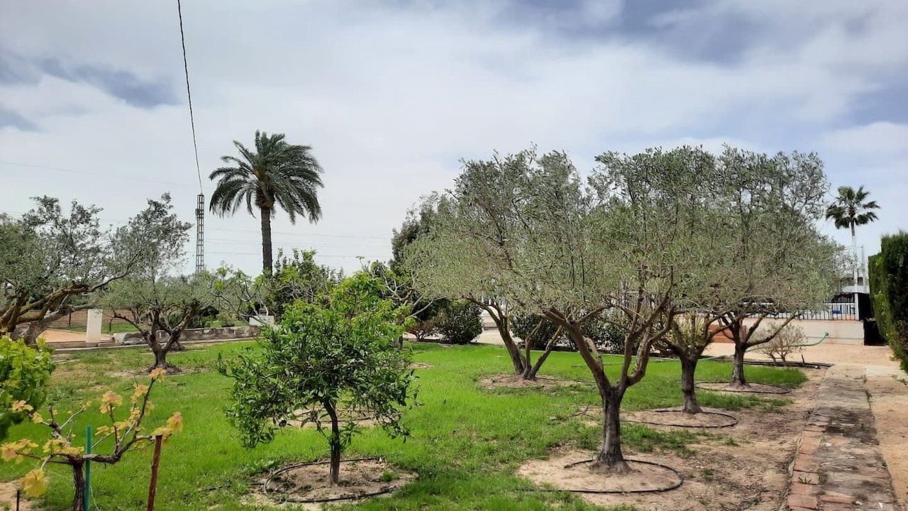 Photo of Outdoor in Los Arenales del Sol