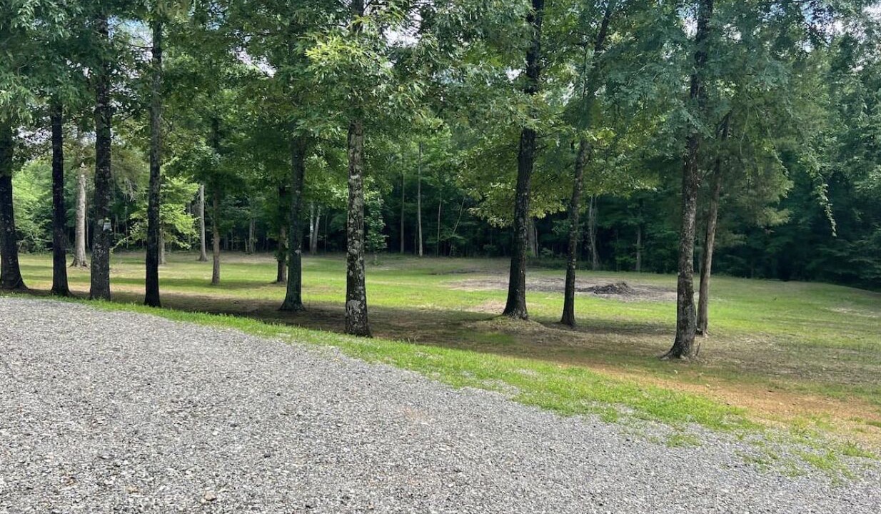 Photo of Outdoor in Kirby
