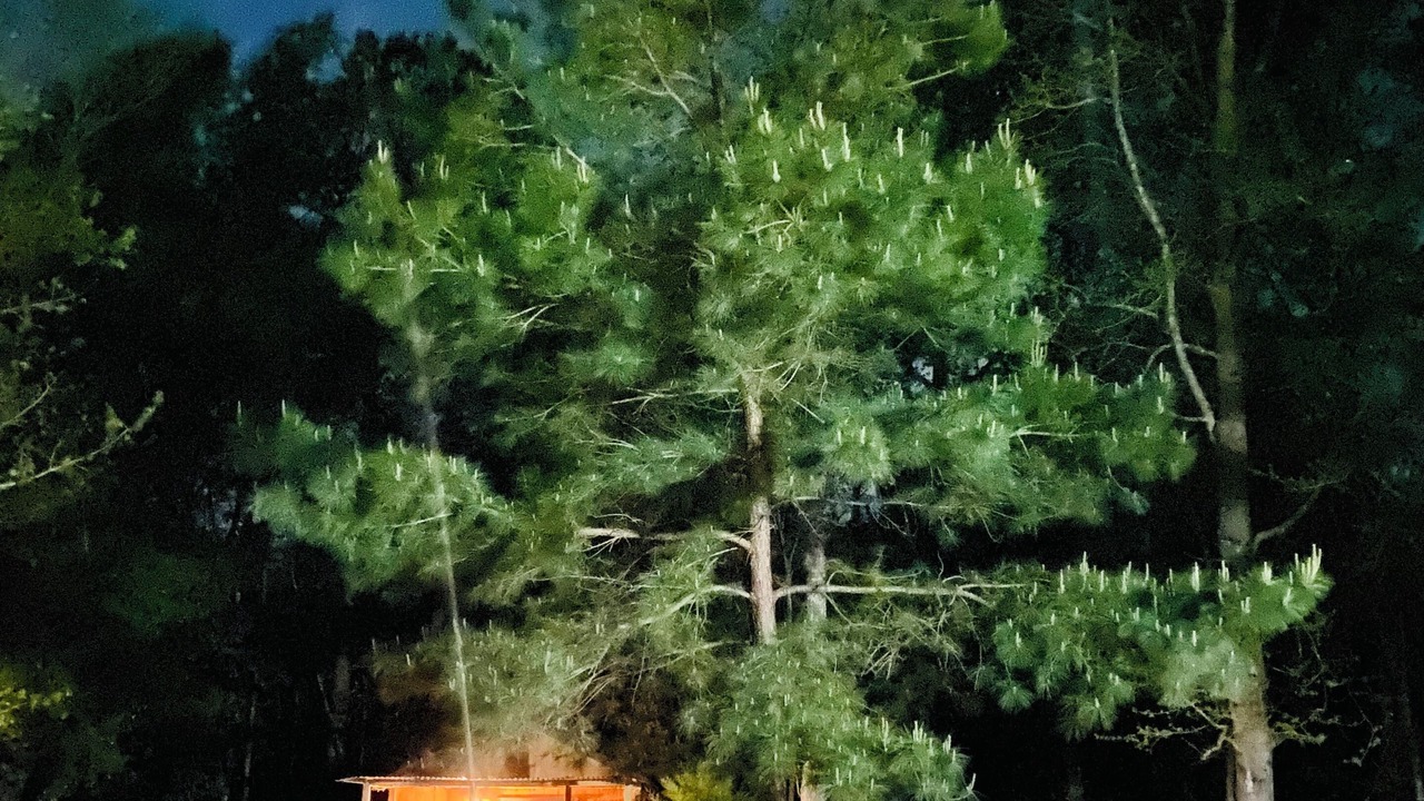 Photo of Outdoor in Willis