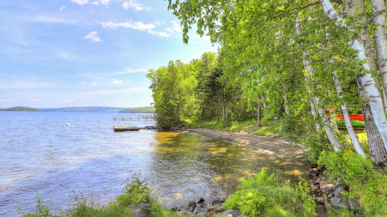 Photo of Others in Rangeley Plantation