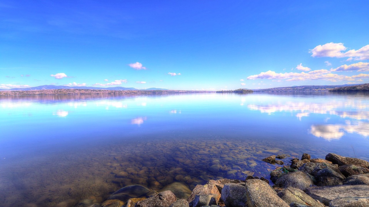 Photo of Others in Rangeley Plantation