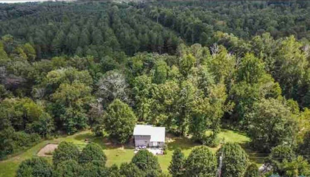Photo of Outdoor in Pisgah