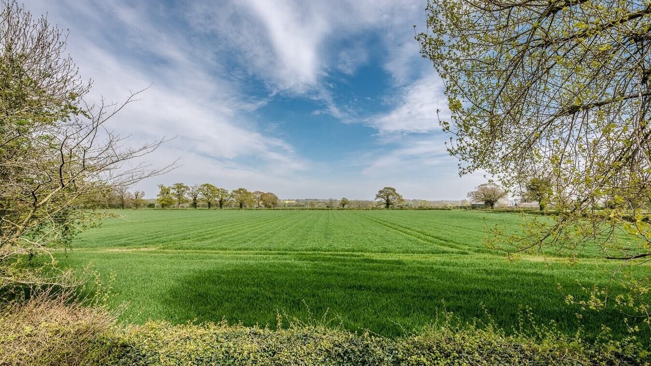 Photo of Others in Eye