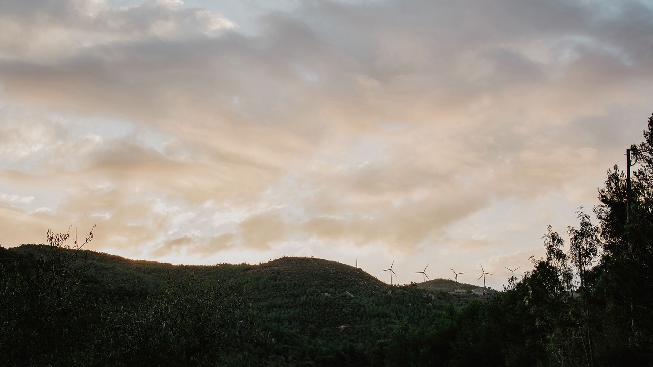 Photo of Outdoor in Rubio