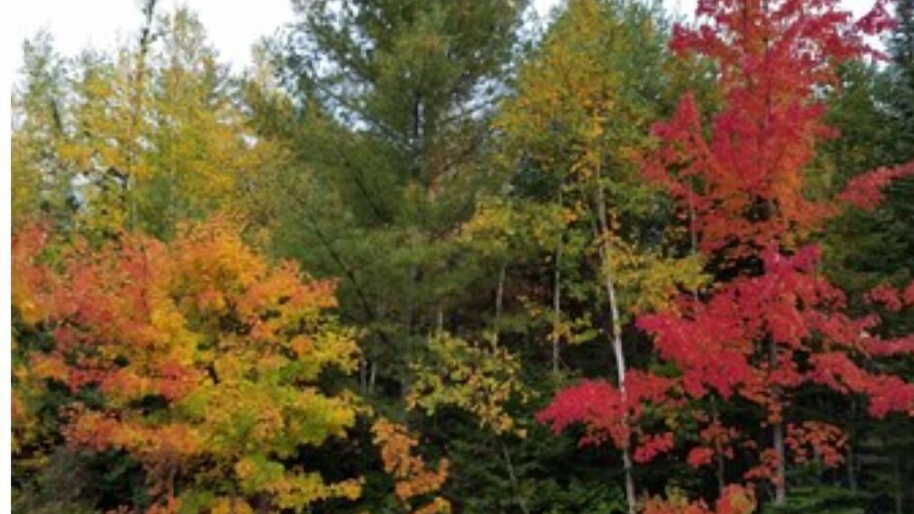 Photo of Outdoor in Whitney