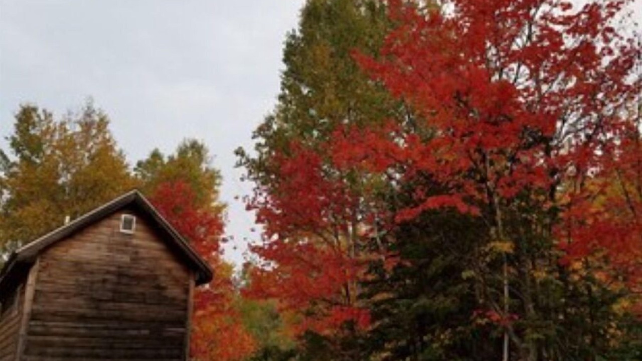 Photo of Outdoor in Whitney
