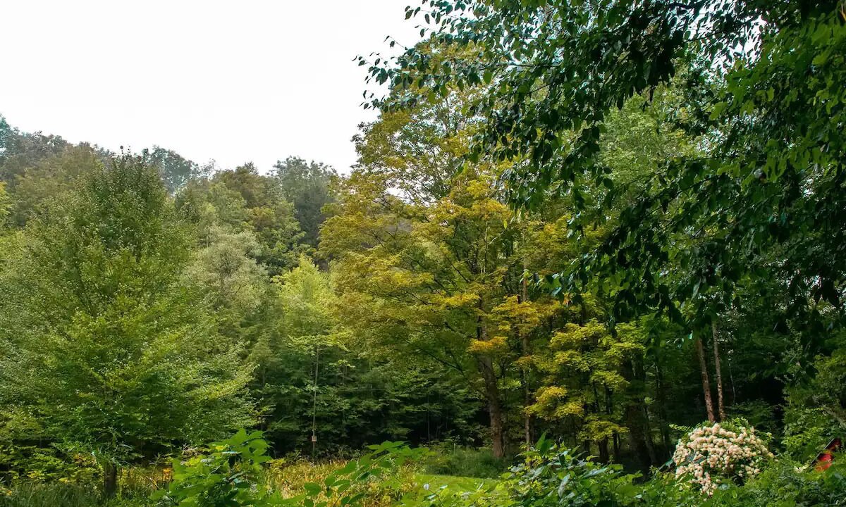 Photo of Outdoor in Hamden
