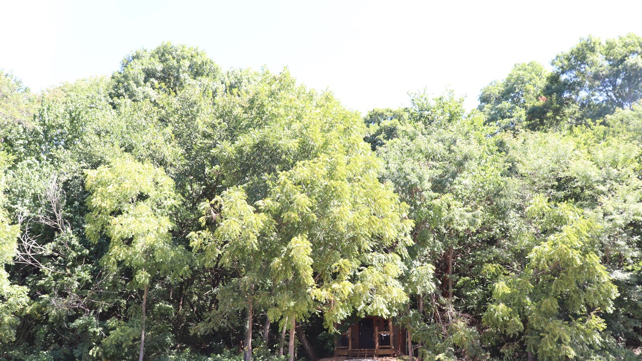 Photo of Outdoor in Powell