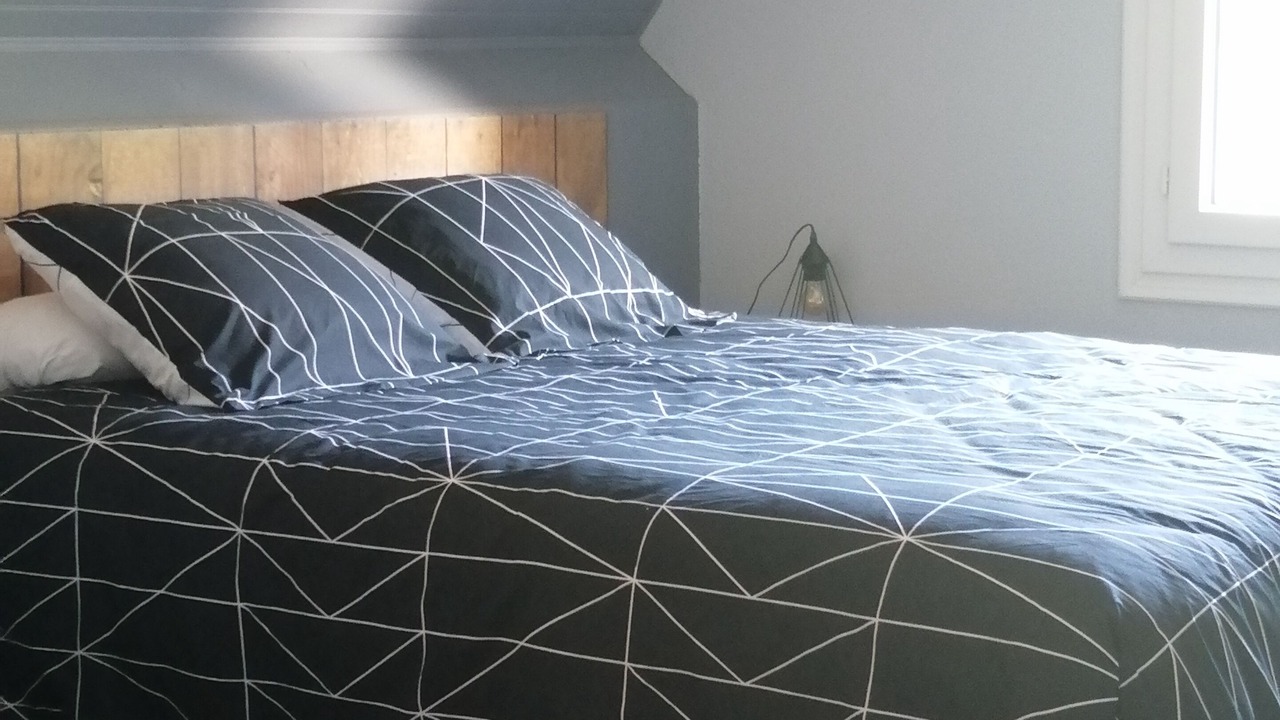 Photo of Bedroom in Bazus-Aure