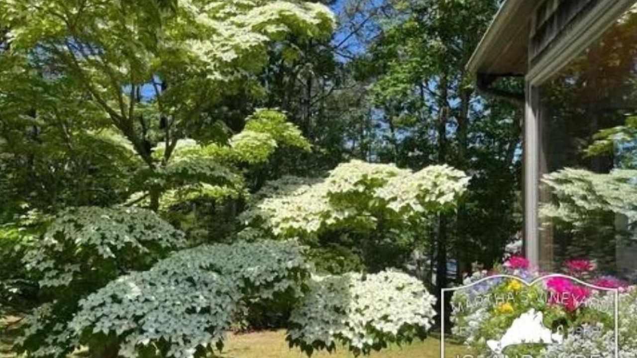 Photo of Outdoor in Lagoon Heights