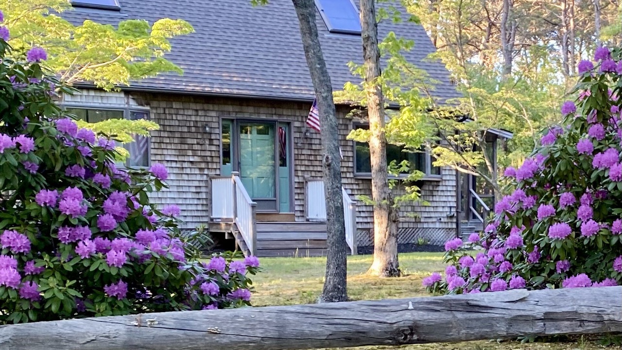 Photo of Others in Lagoon Heights