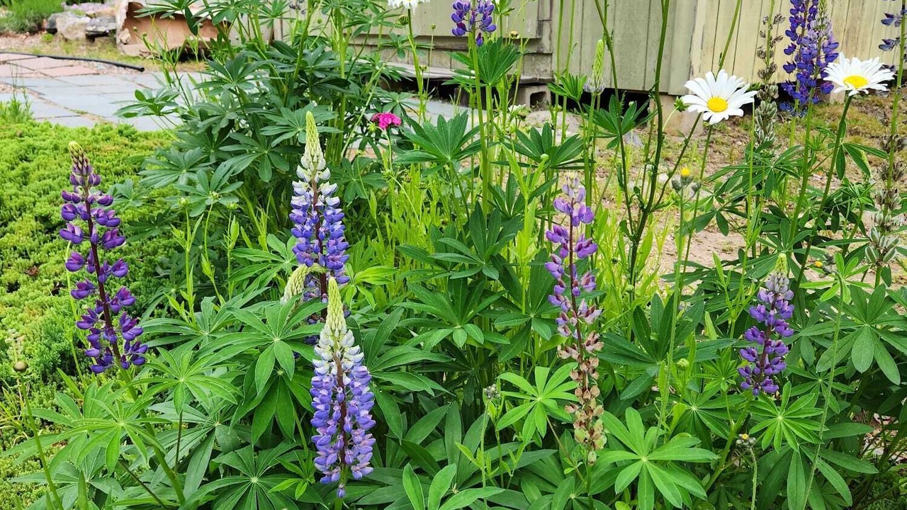 Photo of Outdoor in Hope Valley