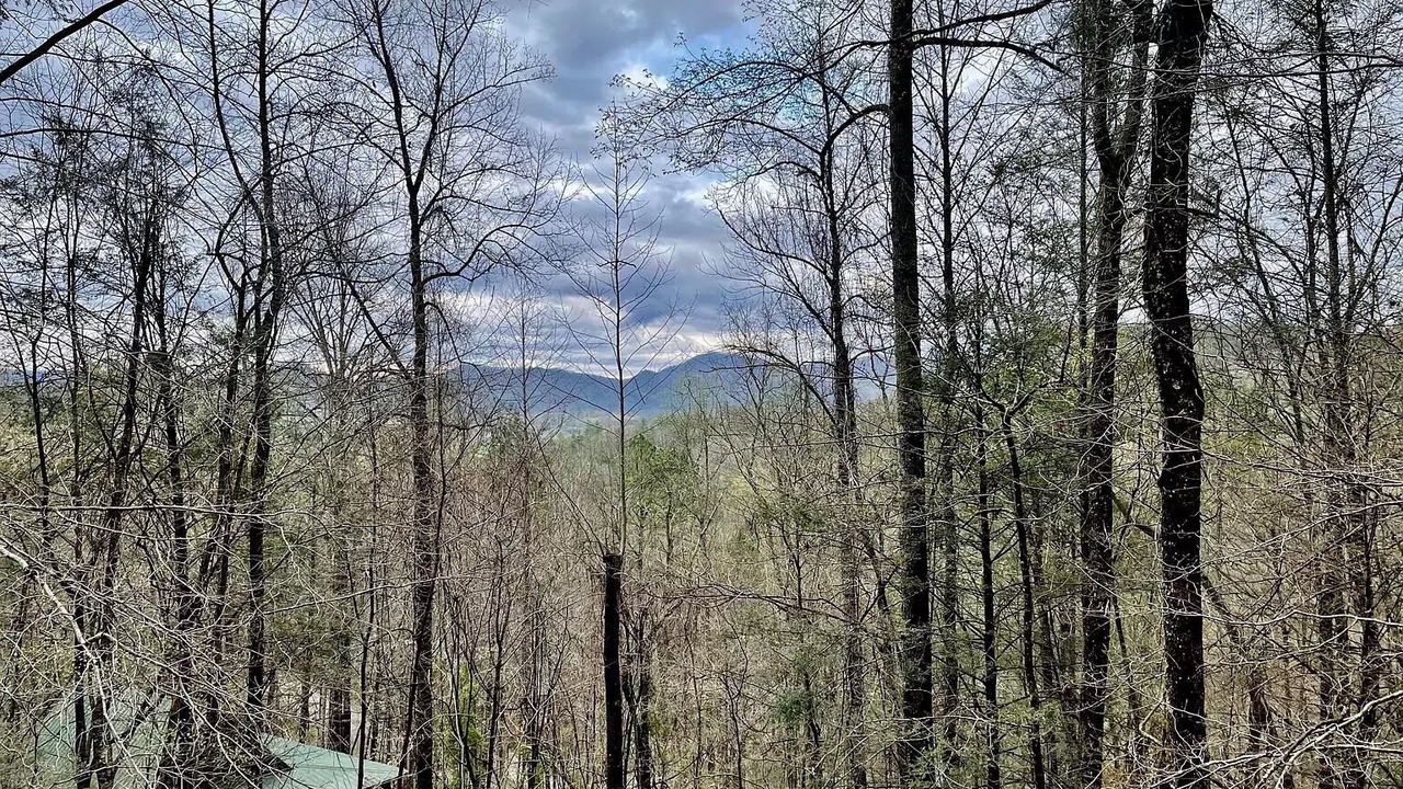 Photo of Outdoor in Townsend