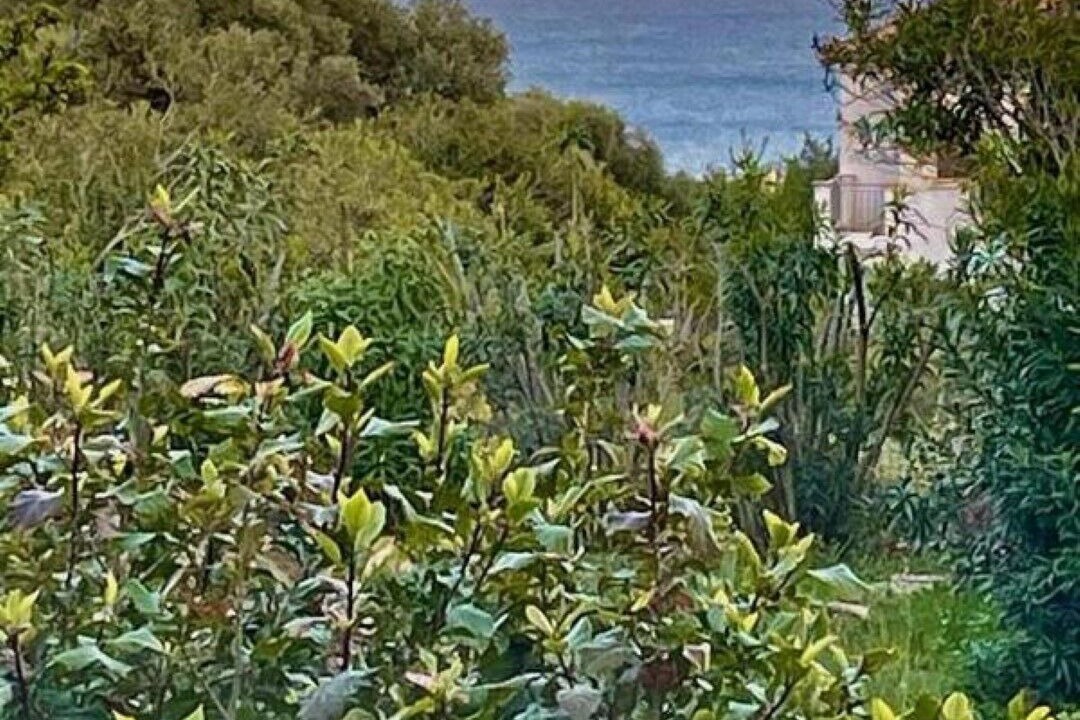 Photo of Others in Pesada