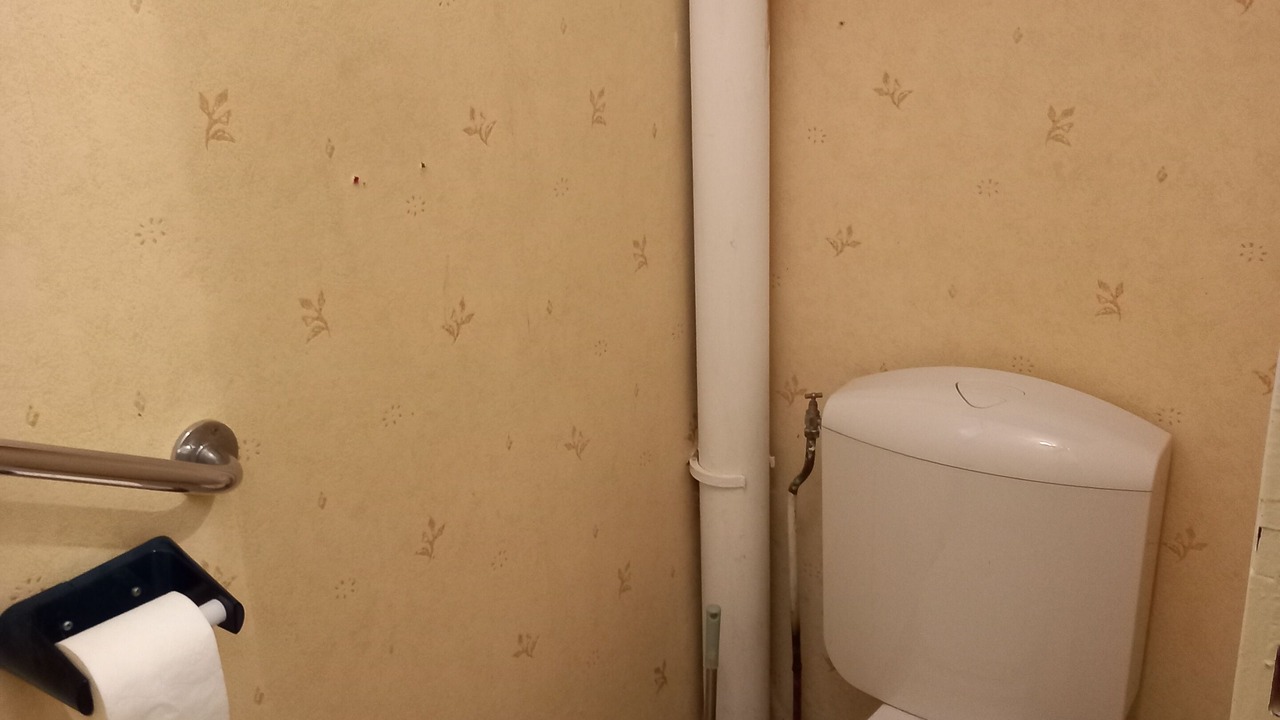 Photo of Bathroom in La Selle-Craonnaise