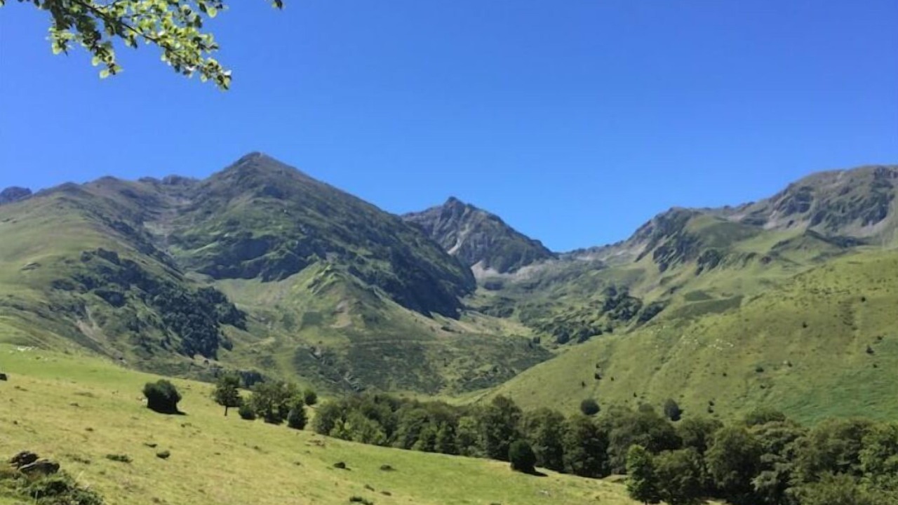 Photo of Outdoor in Campan
