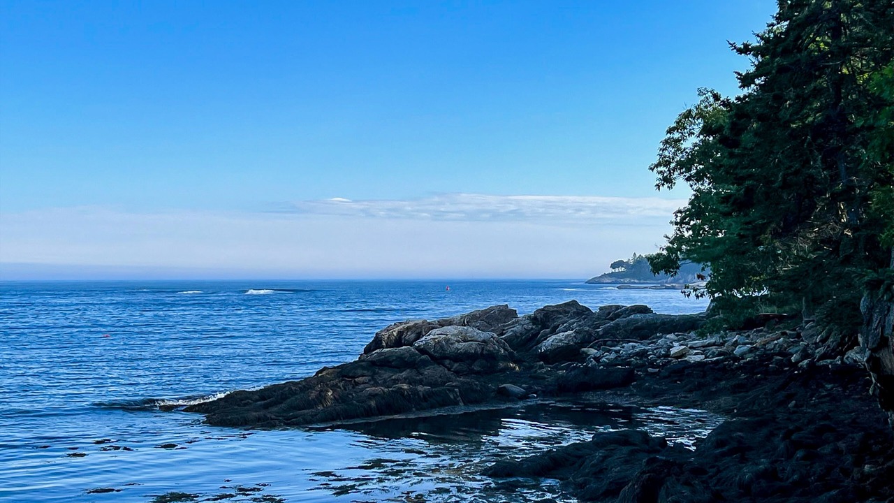 Photo of Others in Georgetown
