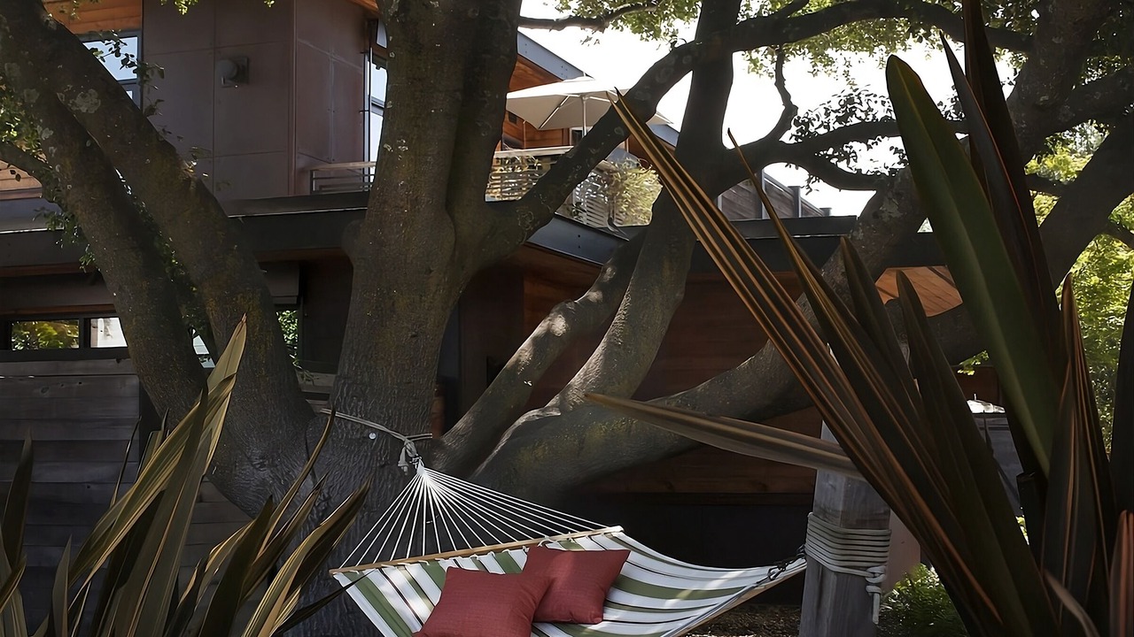 Photo of Outdoor in Yountville