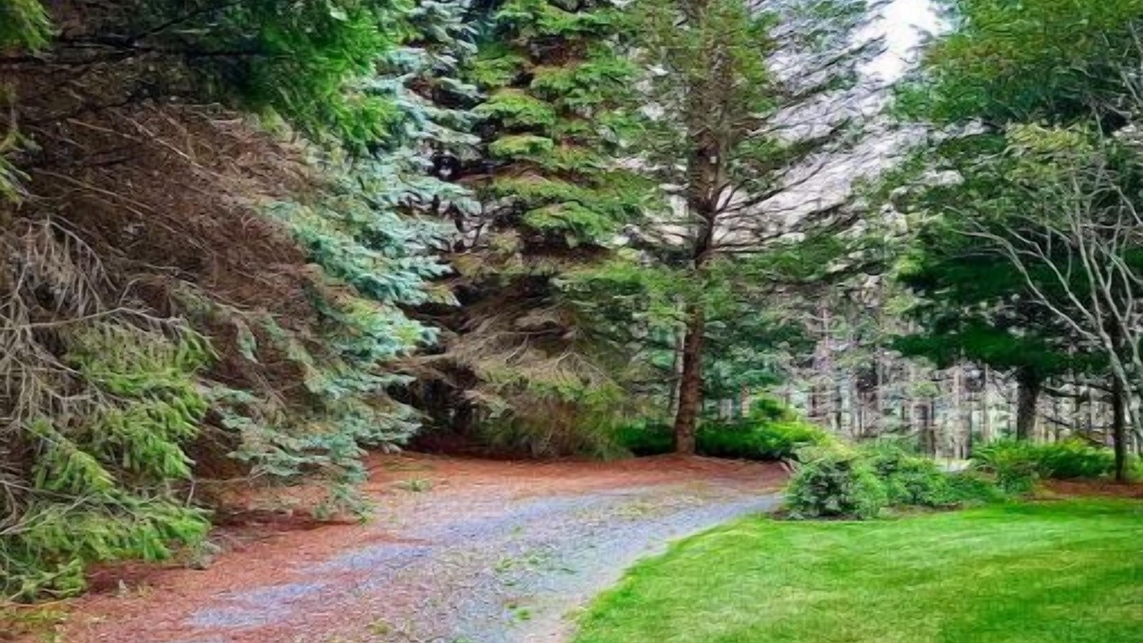 Photo of Outdoor in Galeton