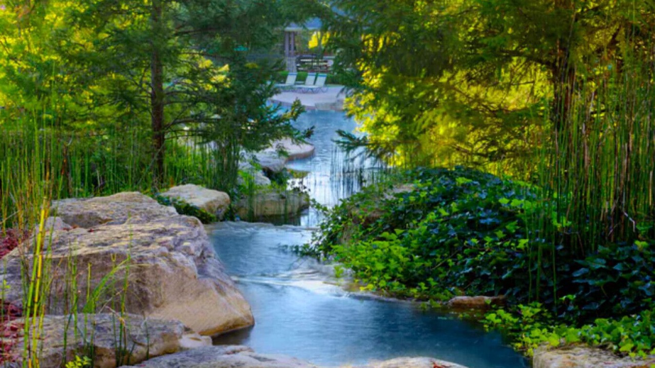 Photo of Others in Branson