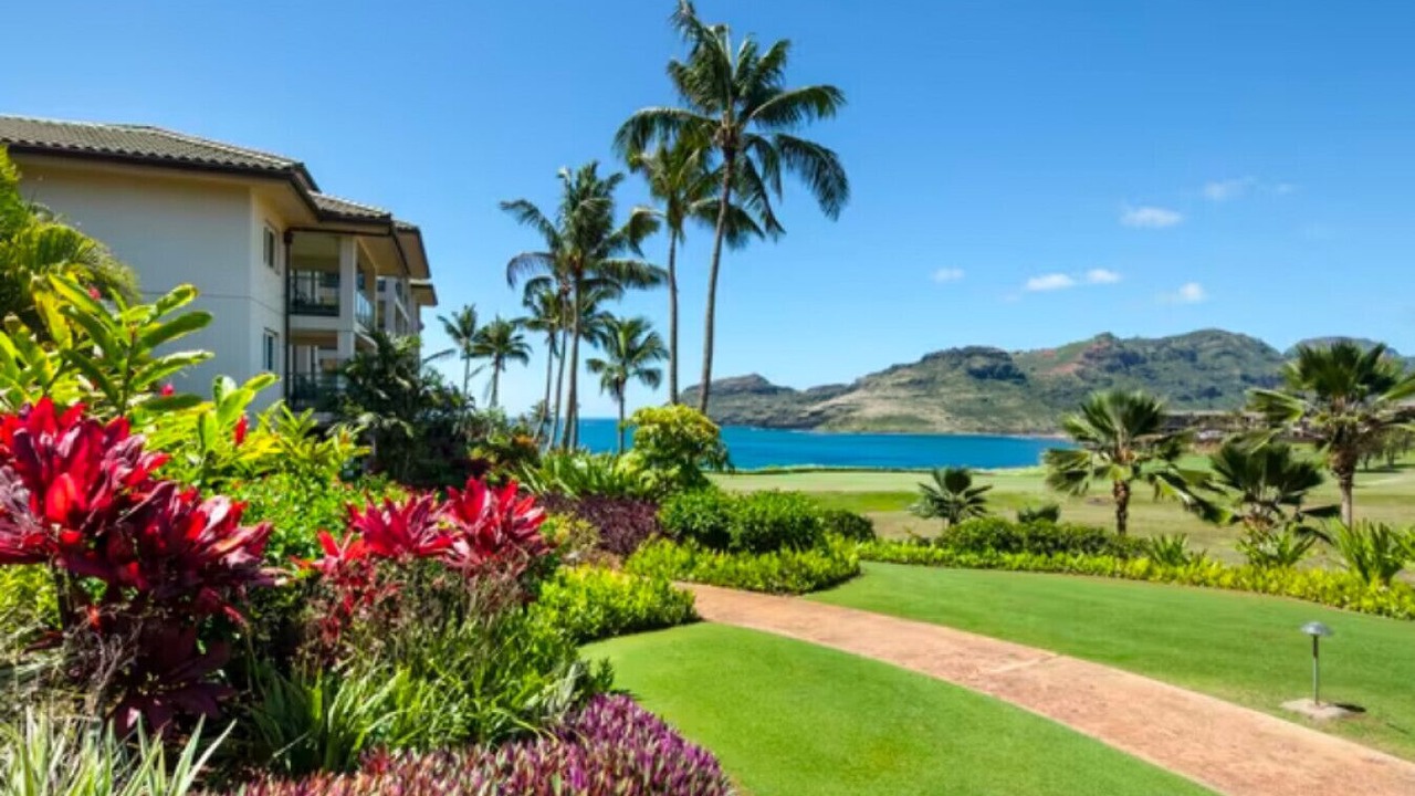 Photo of Outdoor in Lihue