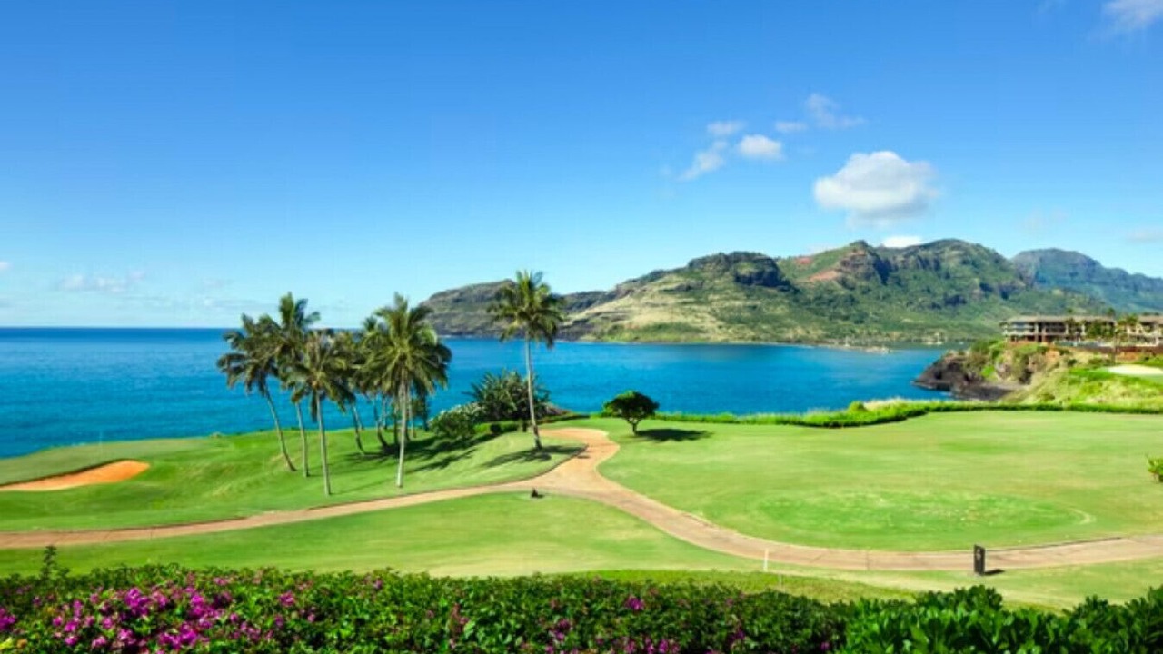 Photo of Others in Lihue