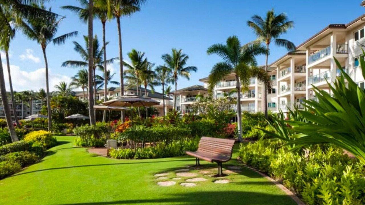 Photo of Outdoor in Lihue