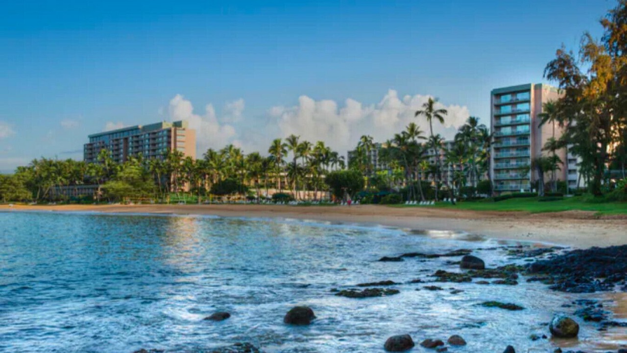 Photo of Others in Lihue