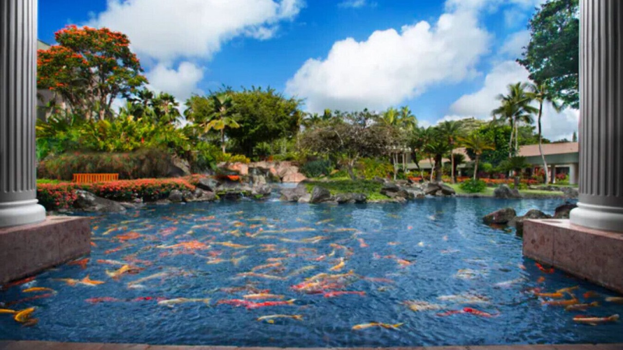 Photo of Outdoor in Lihue