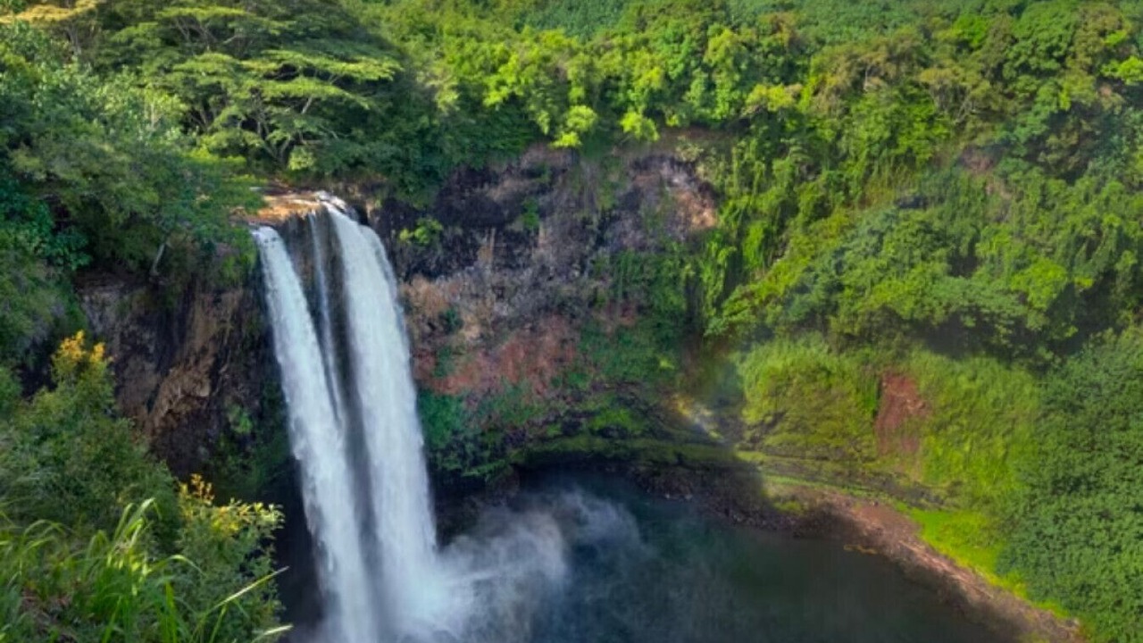 Photo of Others in Lihue