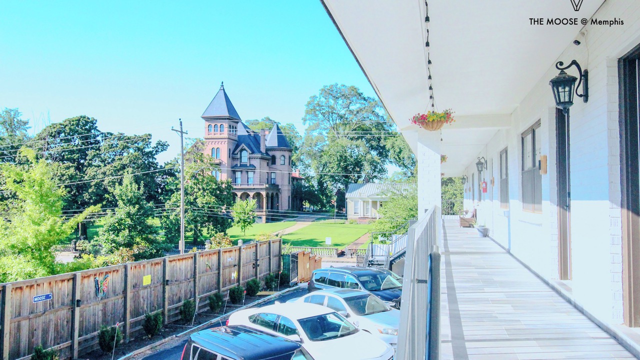 Photo of Outdoor in Downtown Memphis