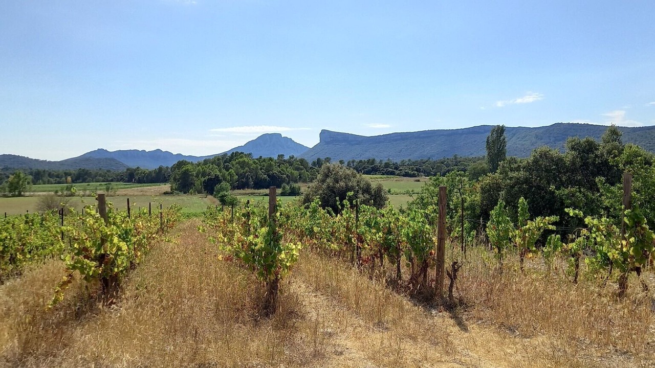 Photo of Outdoor in Lauret