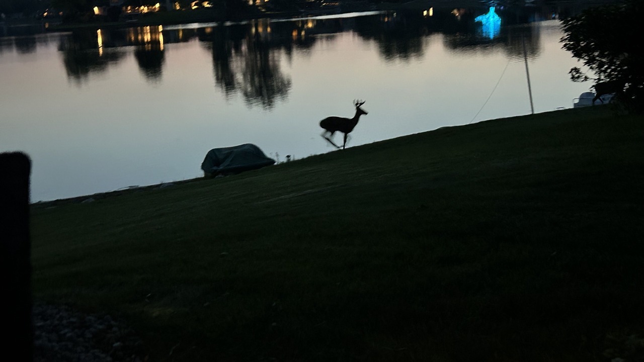 Photo of Outdoor in Troy