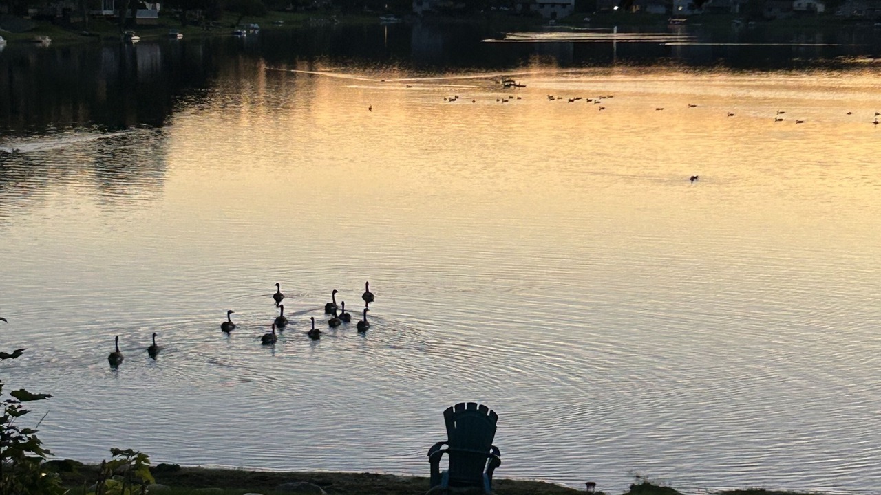 Photo of Outdoor in Troy