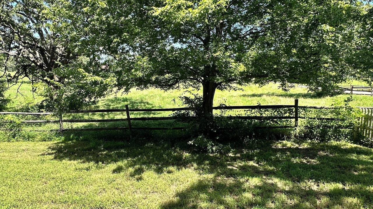 Photo of Outdoor in Independence