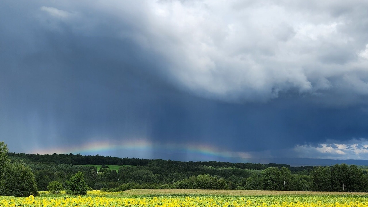 Photo of Others in Aroostook