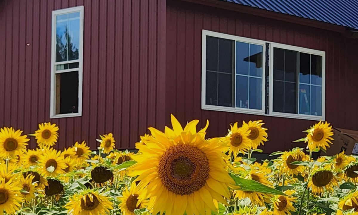 Photo of Outdoor in Aroostook