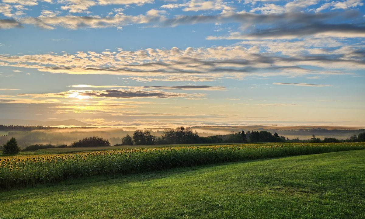 Photo of Others in Aroostook