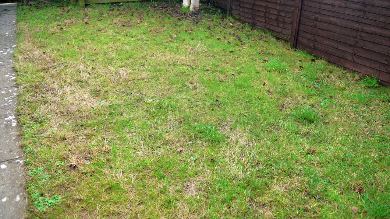 Photo of Outdoor in Stoke Gifford