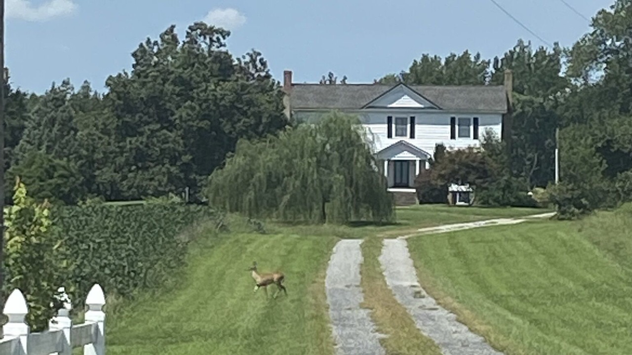Photo of Outdoor in Dundas
