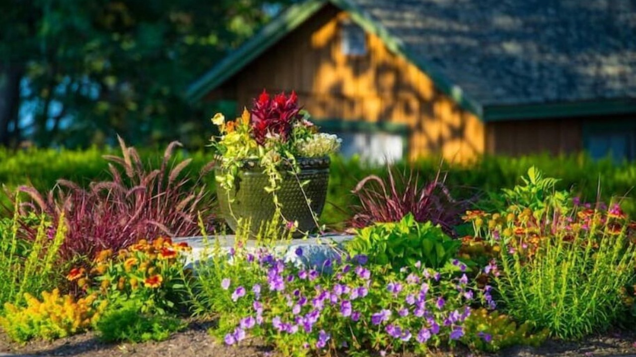 Photo of Outdoor in Wolfeboro