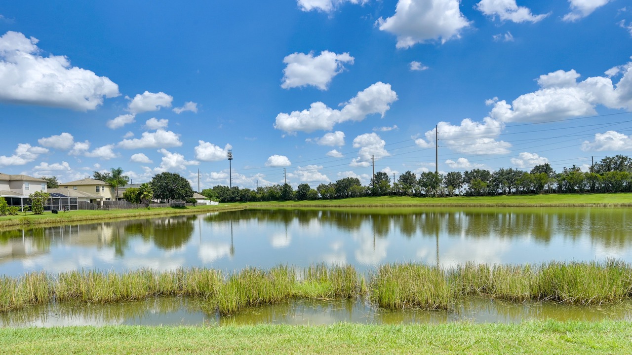 Photo of Outdoor in Wesley Chapel South