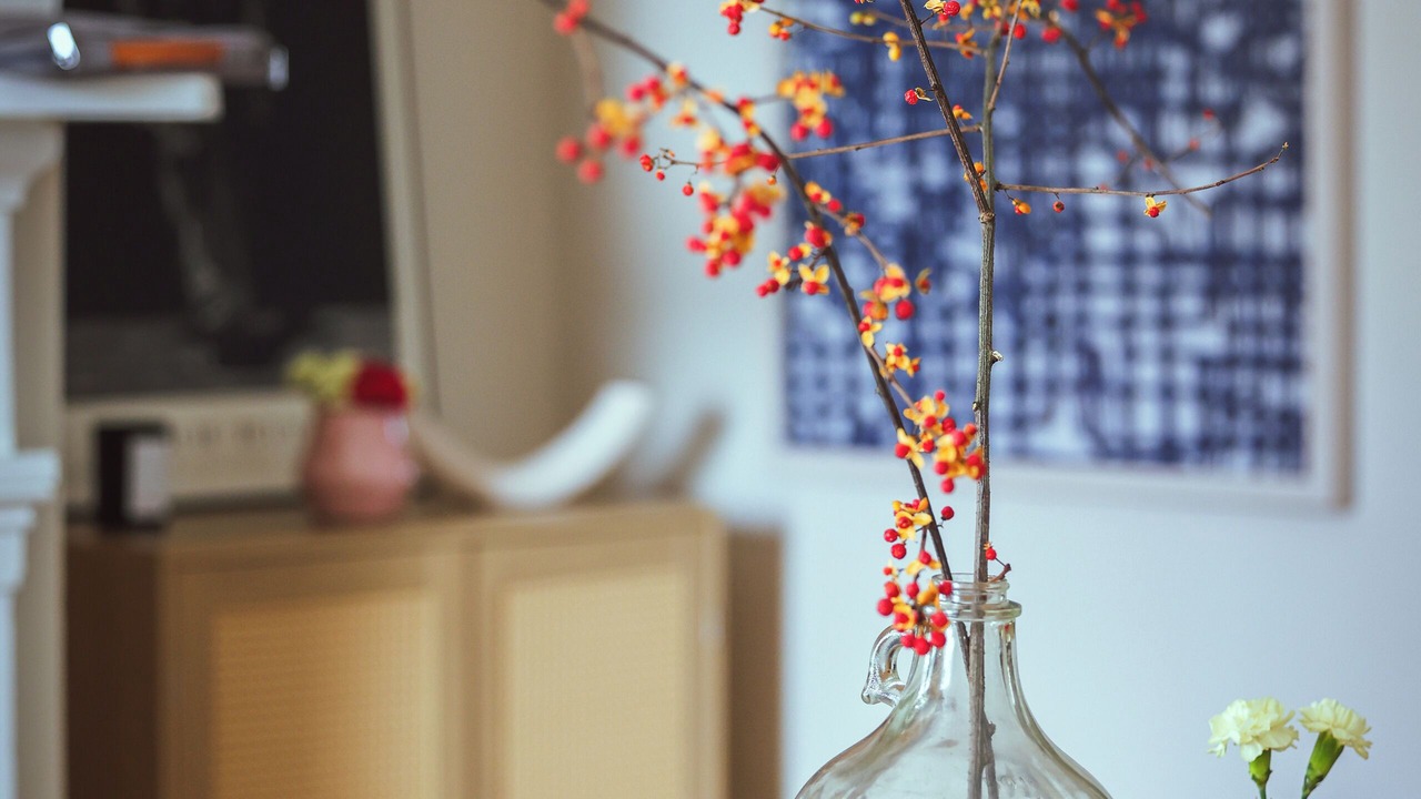 Photo of Others in Kingston